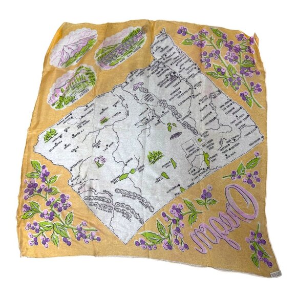 Vt Oregon State Landmarks Souvenir Handkerchief Silk Hand Rolled Edge Scarf READ - Picture 7 of 7